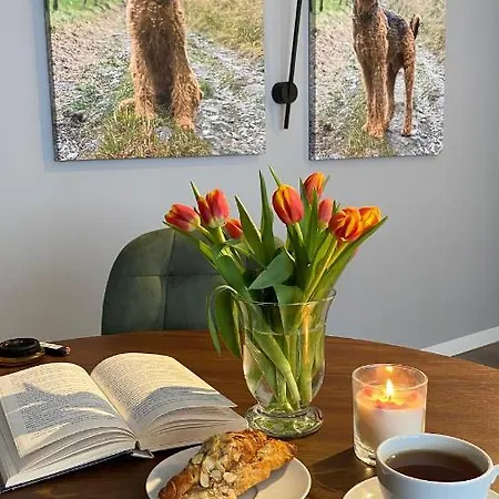 Dom Boutique Old Town Belgrade