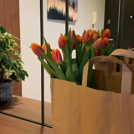 Dom Boutique Old Town Apartment